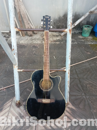 Accostic Guitar